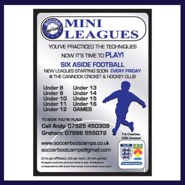 graphic designer hednesford mini leagues